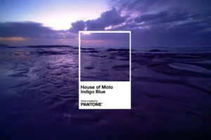 Motorola presenta House of Moto Indigo, su nuevo color global desarrollado junto a Pantone